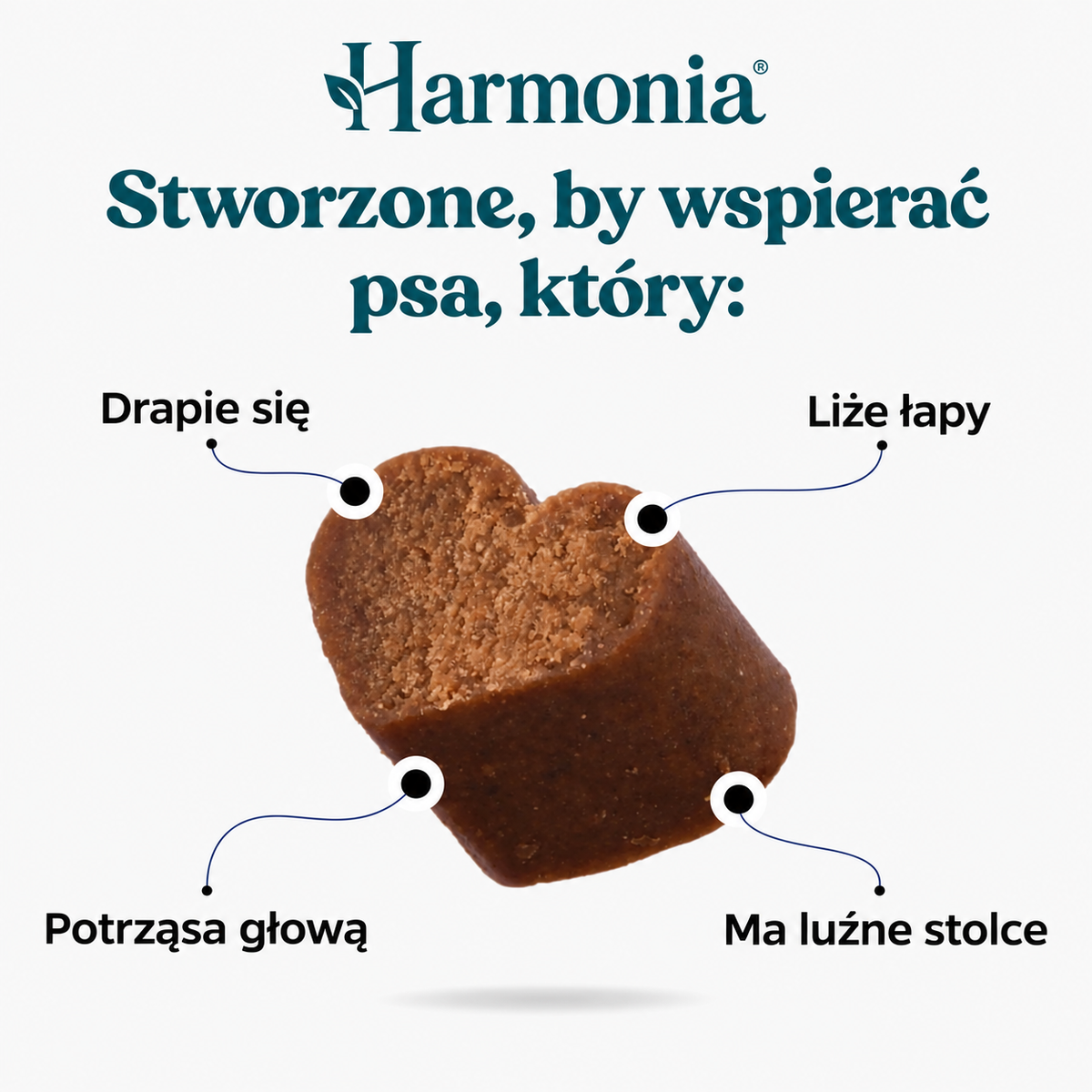 Probiotyk na zdrowe trawienie