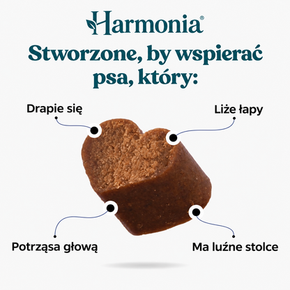 Probiotyk na zdrowe trawienie