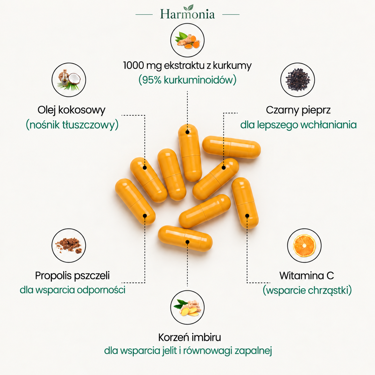 Kurkumina z kurkumy 1000 mg