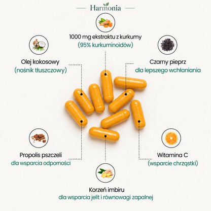 Kurkumina z kurkumy 1000 mg