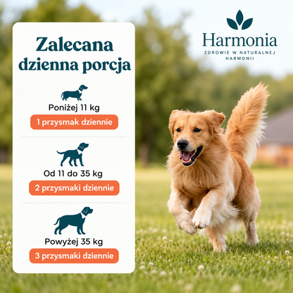 Probiotyk na zdrowe trawienie