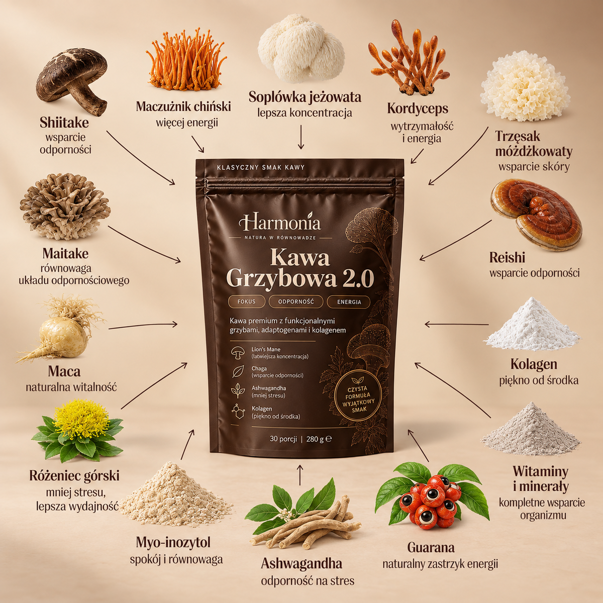 Kawa Grzybowa 2.0 - Pakiet startowy