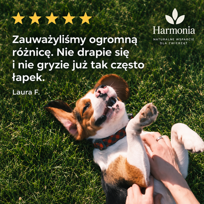Probiotyk na zdrowe trawienie