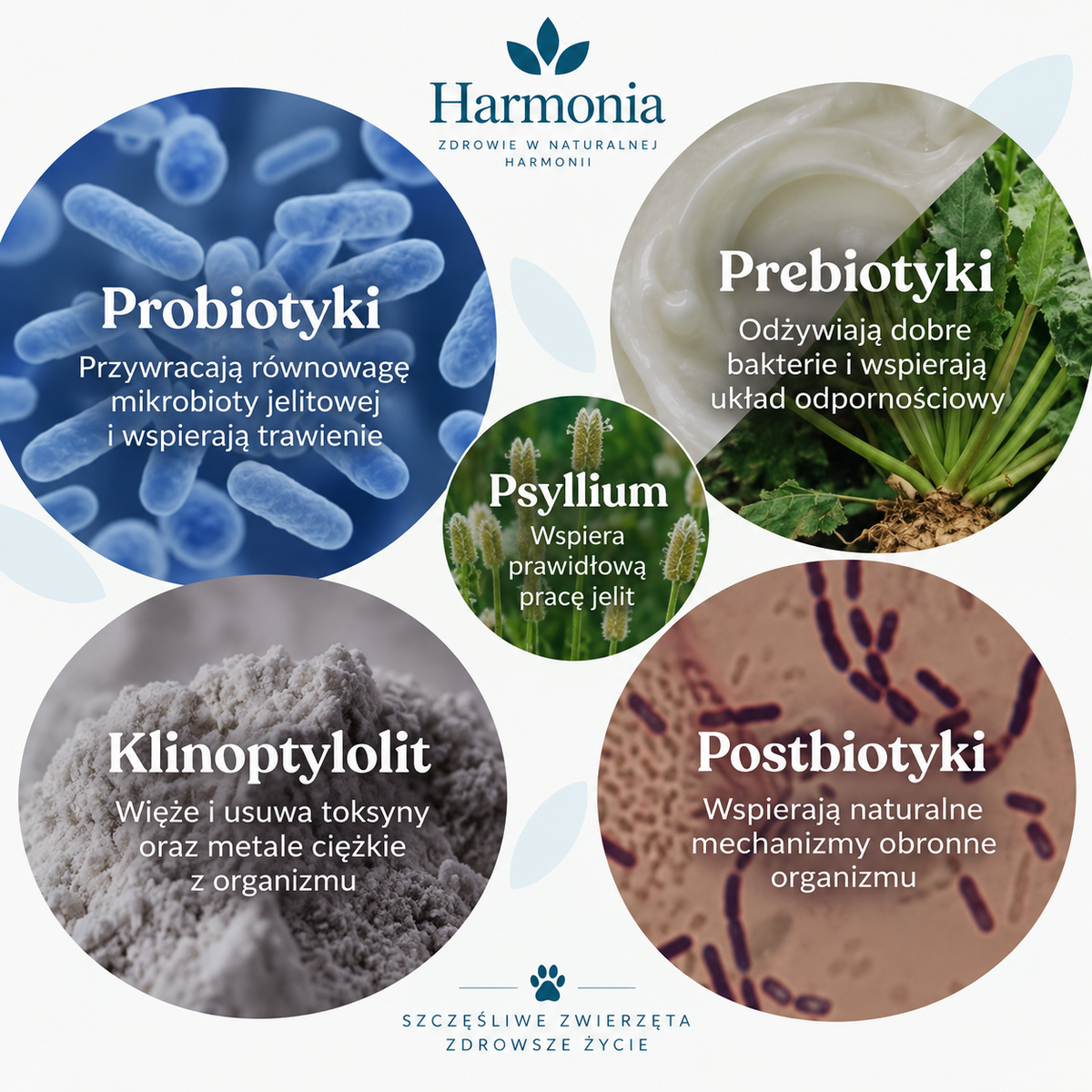 Probiotyk na zdrowe trawienie