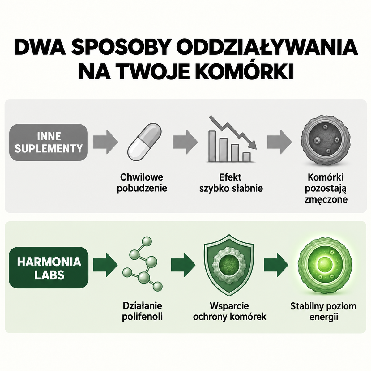 Amla - ekstrakt z superowocu