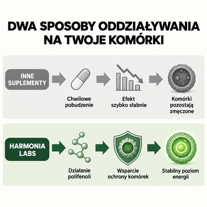 Amla - ekstrakt z superowocu