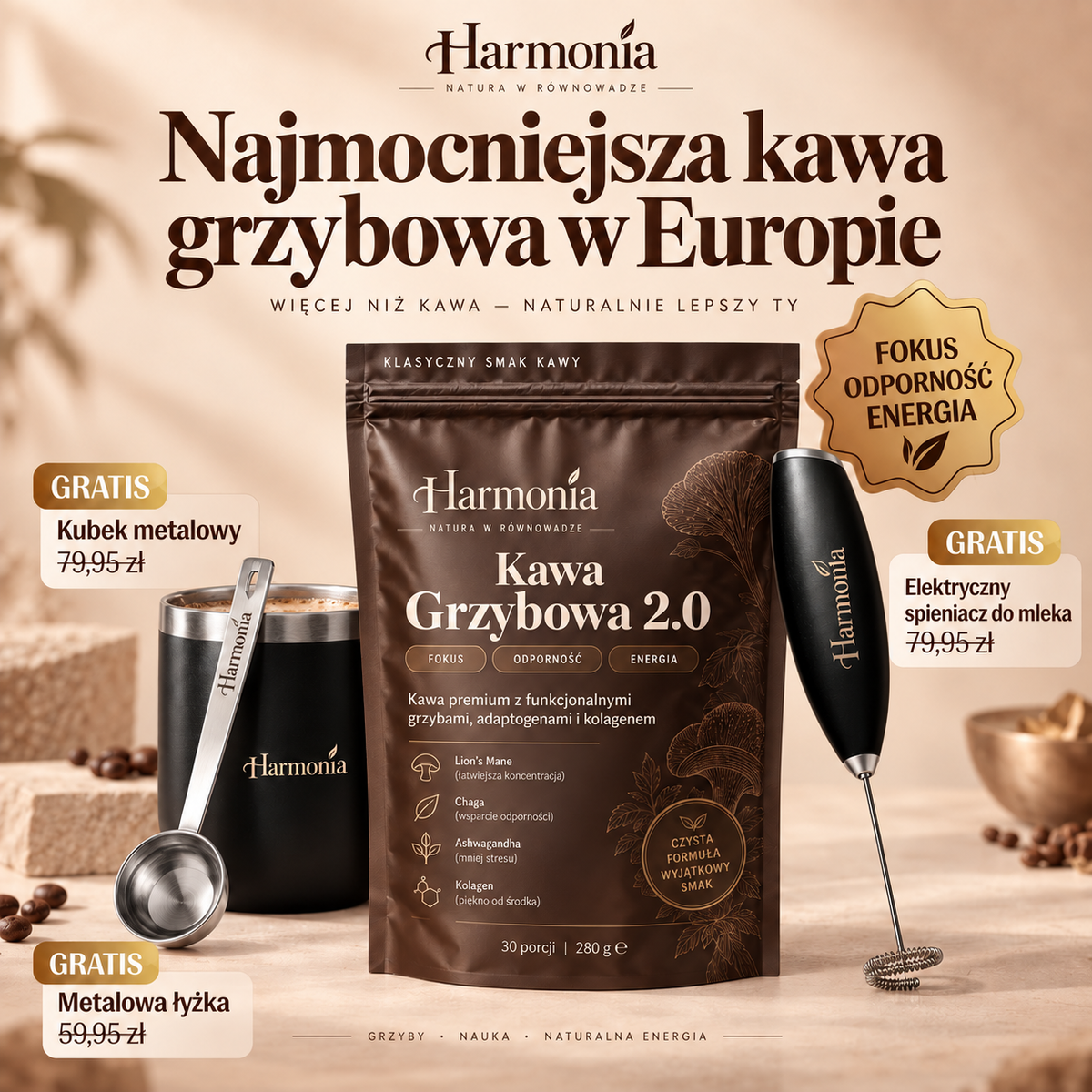 Kawa Grzybowa 2.0 - Pakiet startowy