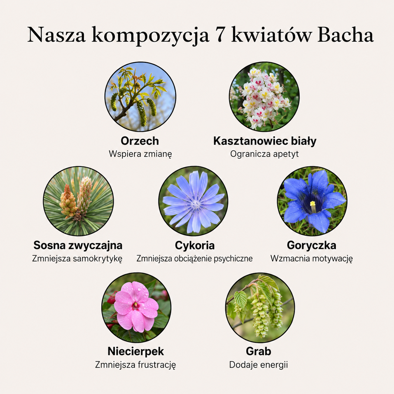Trwała utrata wagi - Kwiaty Bacha
