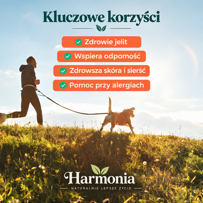 Probiotyk na zdrowe trawienie