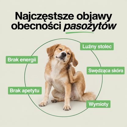 Psia Harmonia - Jelita i Odporność