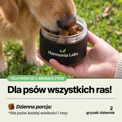 Psia Harmonia - Jelita i Odporność
